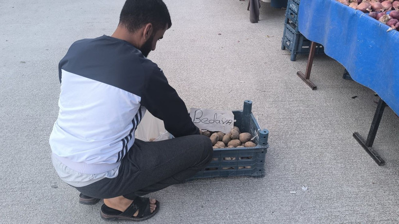 Vatandaş yerdeki sebze ve meyveleri topladı: Bu mu Türkiye Yüzyılı? - Resim: 7