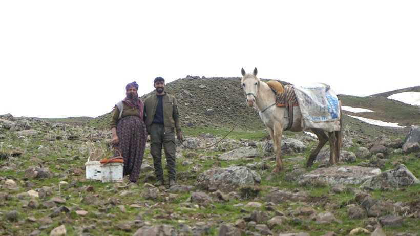 Dağlarda kendiliğinden yetişiyor, kilosu 50 TL: Köylüler siparişlere yetişemiyor - Resim: 2
