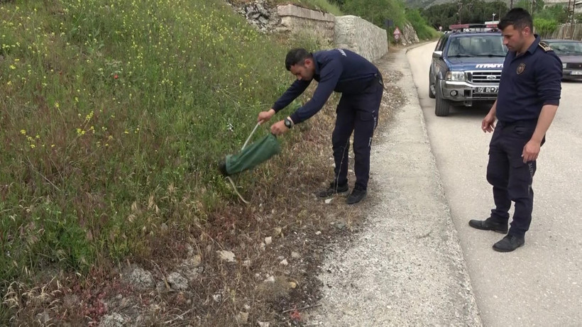 Amasya merkezde ilk: Arabaya giren 1,5 metrelik yılanı itfaiye erleri yakaladı - Resim: 1