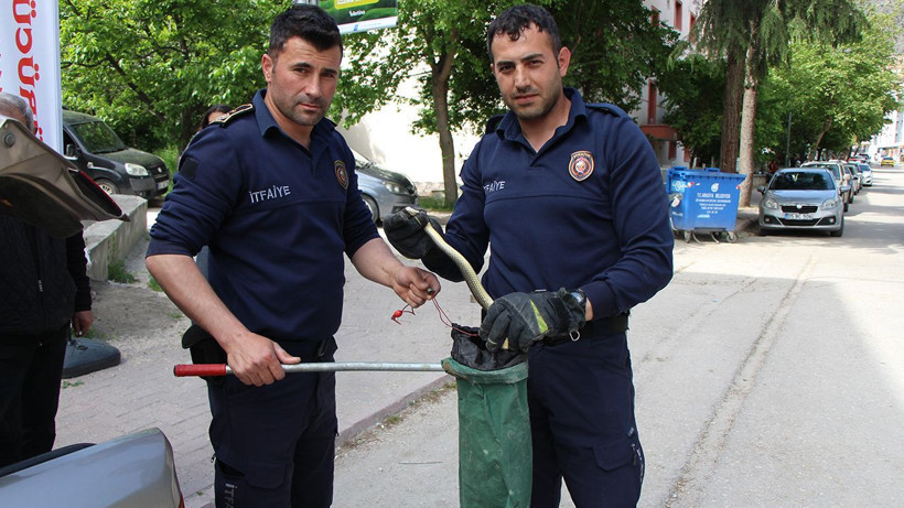 Amasya merkezde ilk: Arabaya giren 1,5 metrelik yılanı itfaiye erleri yakaladı - Resim: 8