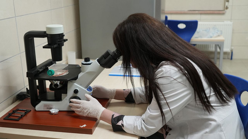 Kastamonu ormanlarında yetişen mantarlar şifa kaynağı olacak - Resim: 9