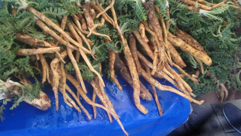 İşte uzun yaşam sırrı: Lokman Hekim'in reçetesinde var - Resim: 6
