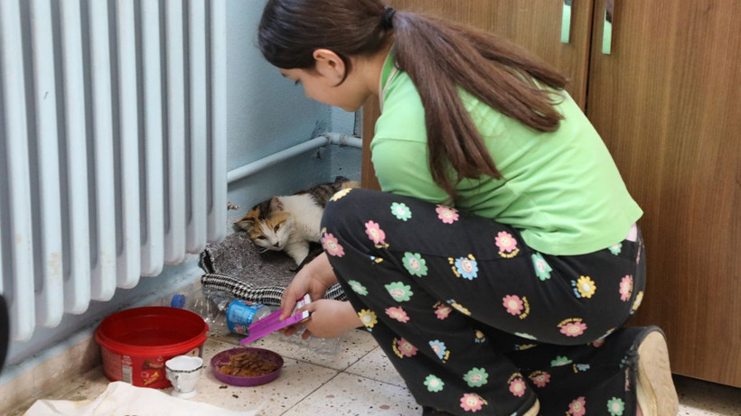 Anne kedi ve yavruları okulun sevgi maskotu oldu - Resim: 5
