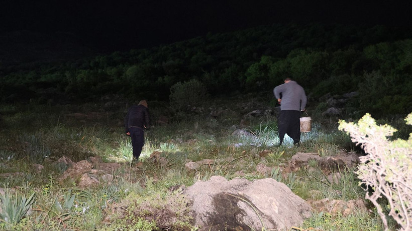 Gece mesaisi başladı: Toplayan kilosundan 35 lira kazanıyor - Resim: 6