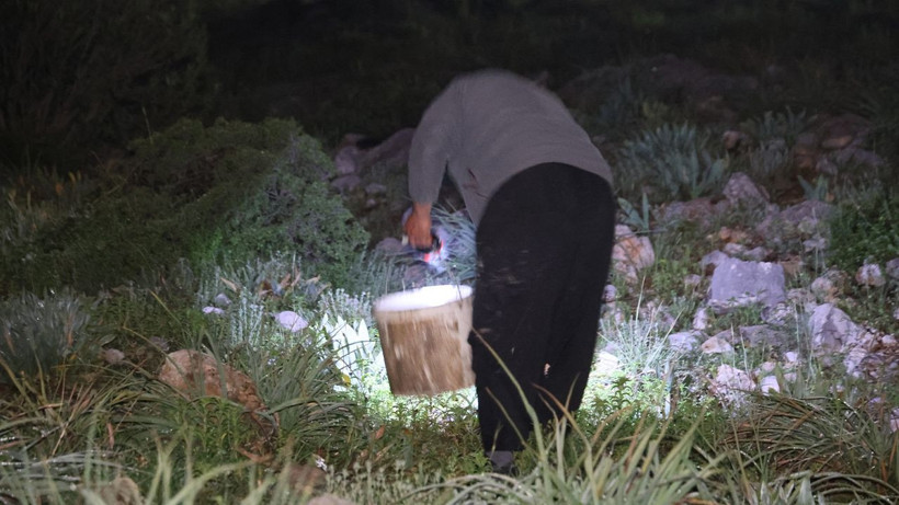 Gece mesaisi başladı: Toplayan kilosundan 35 lira kazanıyor - Resim: 5