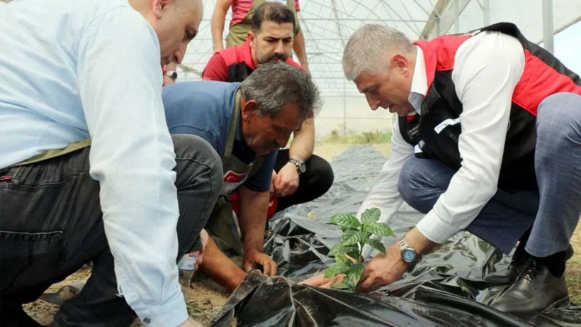 Yerli ve milli kahve hamlesi: Çukurova’dan dünyaya - Resim: 1