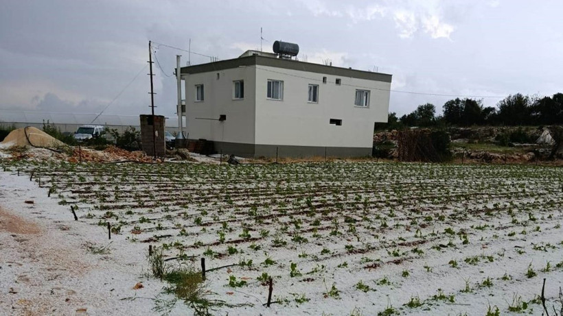 Mersin'de dolu, sebze tarlaları ve meyve bahçelerini perişan etti - Resim: 4