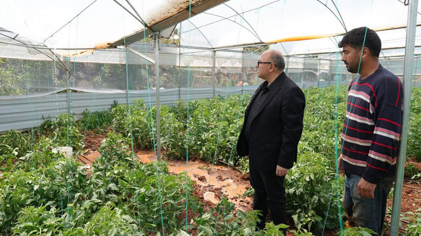 Mersin'de dolu, sebze tarlaları ve meyve bahçelerini perişan etti - Resim: 1