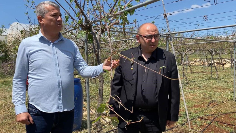 Mersin'de dolu, sebze tarlaları ve meyve bahçelerini perişan etti - Resim: 6