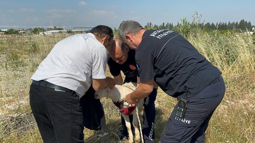 Yoldan geçerken duyduğu sese kulak verdi... 3 metrelik ölüm çukurundaki mucize kurtuluş - Resim: 2