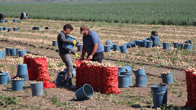 Üretim ile meydan okuma: Bizimkinin yanından bile geçemezler - Resim: 6