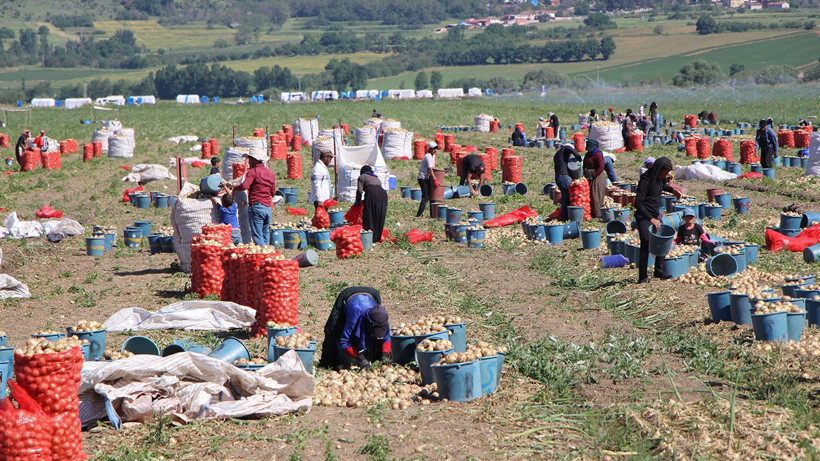 Üretim ile meydan okuma: Bizimkinin yanından bile geçemezler - Resim: 1
