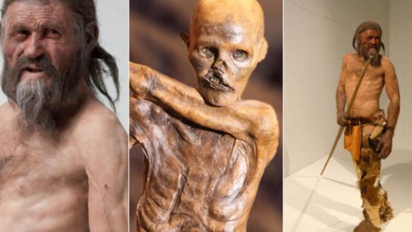 5 bin 300 yıllık Ötzi'nin bedeninde şaşırtan keşif - Resim: 5