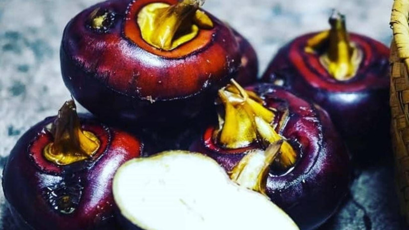 Göllerin altında yetişiyor: Tansiyonu dengeliyor ve damarları gençleştiriyor - Resim: 6