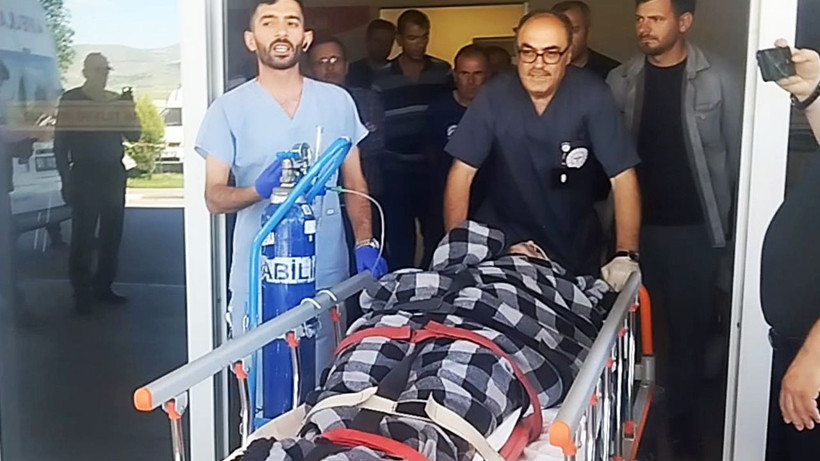 Sivas'ta ayı saldırısı: Sürü sahibini kangal köpekleri kurtardı - Resim: 1