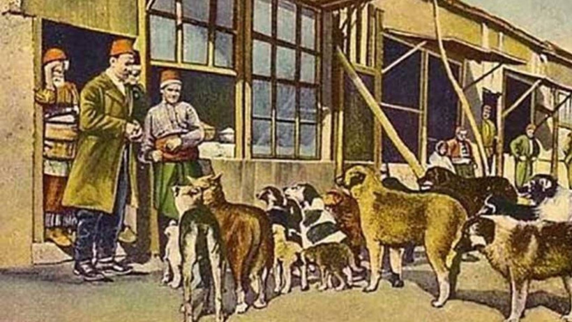 Sokak hayvanlarını beslemek Osmanlı'da saygın bir meslekti: Mancacıları bilir misiniz? - Resim: 3