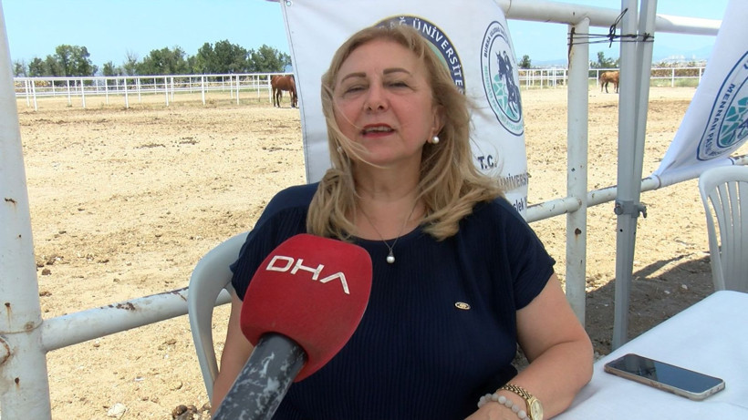 Diplomalarını at üstünde aldılar: Mezuniyet tahtasına nal çaktı - Resim: 11