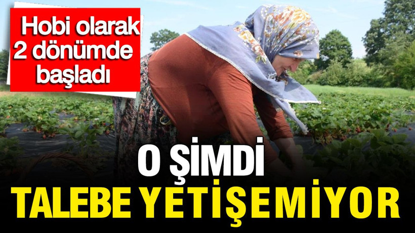 Hobi olarak 2 dönümlük alanda başladı: Şimdi talebe yetişemiyor - Resim: 1