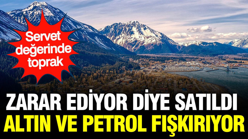 'Zarar ediyor' diye satıldı şimdi altın ve petrol fışkırıyor: Servet değerinde toprak - Resim: 1