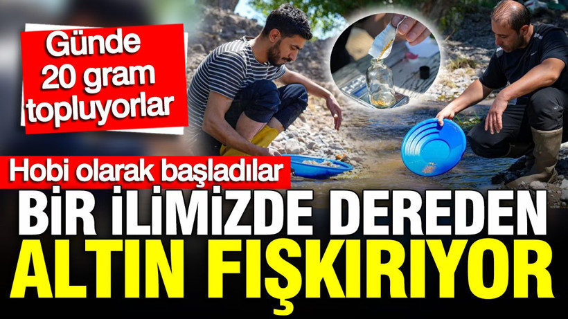 Hobi olarak başladılar dereden altın topluyorlar - Resim: 1