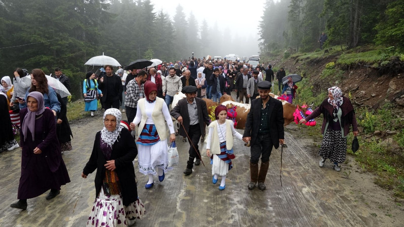 Süslü inekler, renkli fistanlar: Kemençe eşliğinde göç: Karadeniz yaylalarını inlettiler - Resim: 12