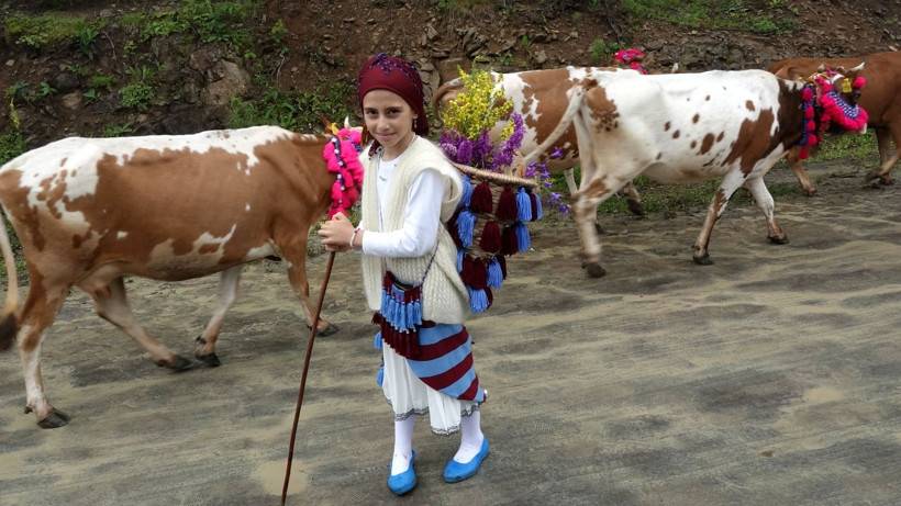 Süslü inekler, renkli fistanlar: Kemençe eşliğinde göç: Karadeniz yaylalarını inlettiler - Resim: 18