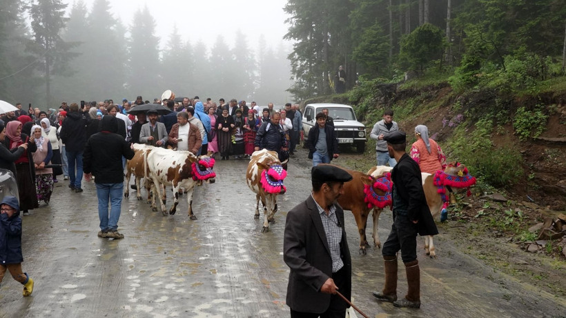 Süslü inekler, renkli fistanlar: Kemençe eşliğinde göç: Karadeniz yaylalarını inlettiler - Resim: 9