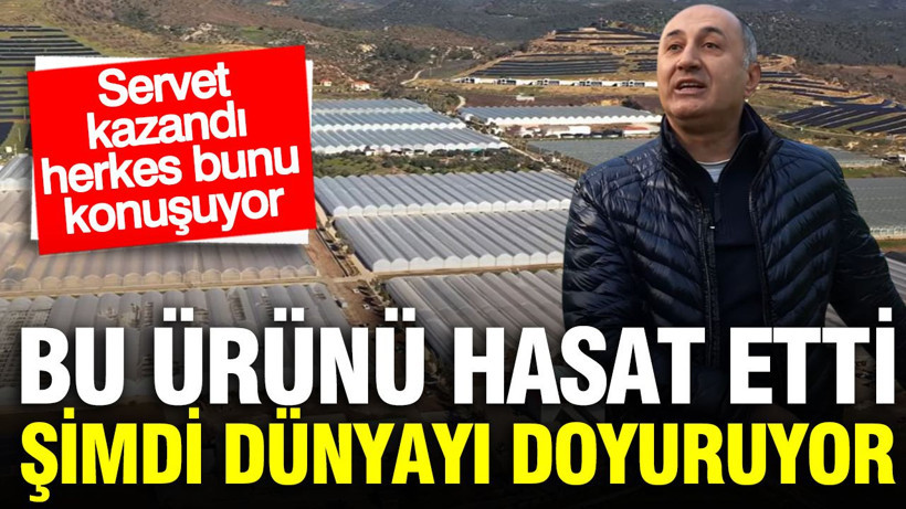 O ürünü hasat etti, şimdi servet kazanıyor: Bu sera dünyayı doyuruyor - Resim: 1
