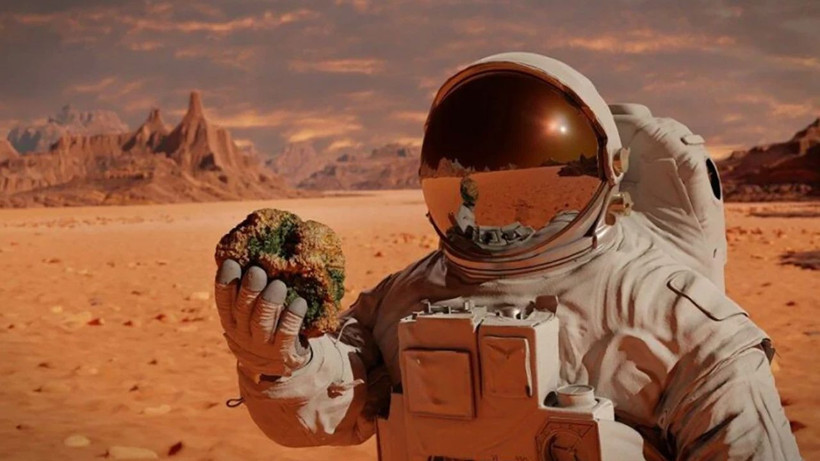 Maaşını açıklamaya bile gerek duymadılar: NASA 1 yıl Mars simülasyonunda yaşayacak gönüllü aranıyor... İşte katılım şartları - Resim: 16