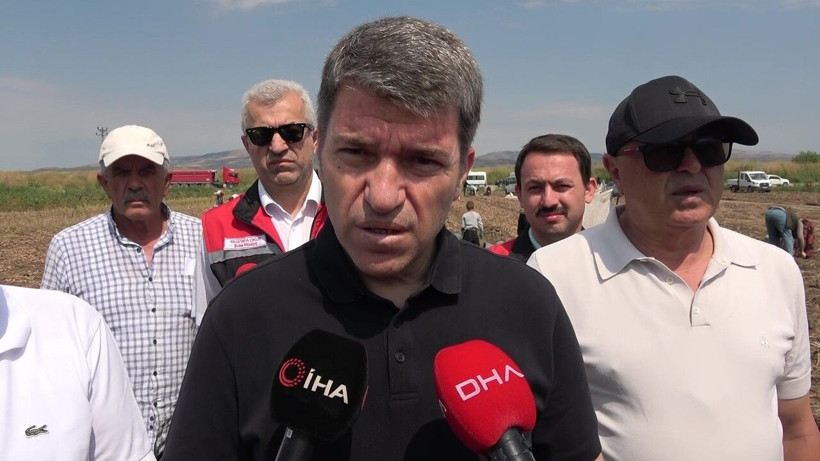 Tarlada 14 TL'den alıcı buluyor.… 130 bin tonluk dev hasat başladı - Resim: 7