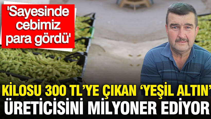 'Yeşil altının' kilosu 300 TL'ye çıktı: 'Sayesinde cebimiz para gördü' - Resim: 1