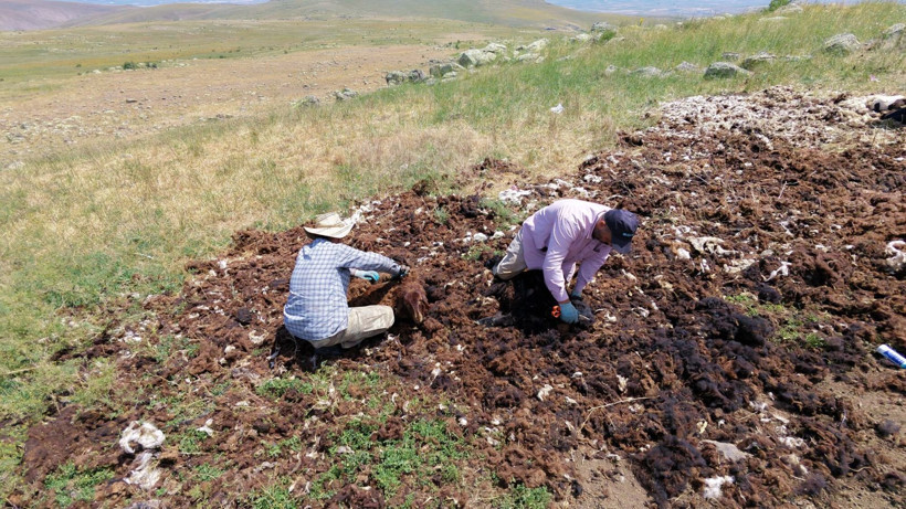 Eskiden altın değerindeydi, şimdi çöpe gidiyor... Alıcı bulamayınca imha ediliyor - Resim: 3