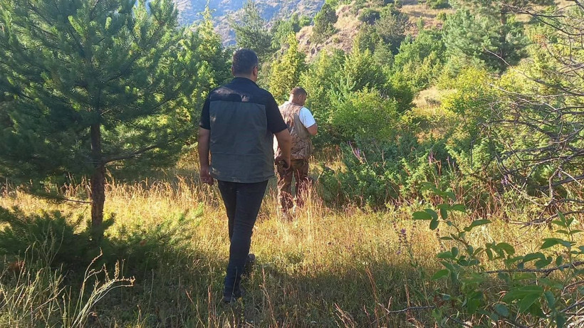 Kilosu 13 bin TL'den başlıyor 300 bine kadar çıkıyor: Dağlardan köpeklerle servet topluyorlar - Resim: 2