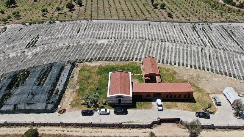 Sıfırdan başladılar, meyve çiftliği kurdular: Şehir hayatını bırakıp topraksız tarıma geçtiler - Resim: 8
