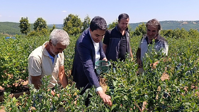 Devlet desteğiyle verimsiz arazide kurdu... İlk hasatta 6 ton bekliyor - Resim: 6
