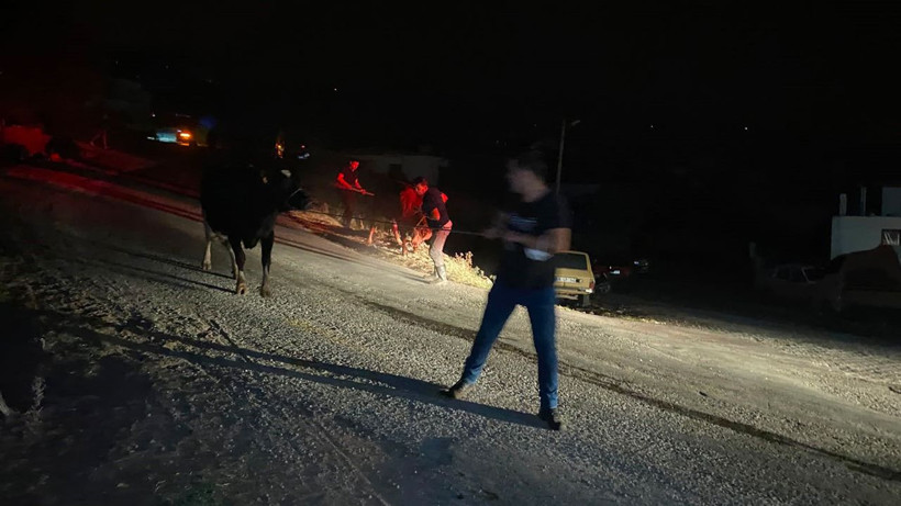 Aydın’da alevler mahalle sınırına dayandı: Dehşet anlarında halı saha hayvanlar için barınağa dönüştü - Resim: 1
