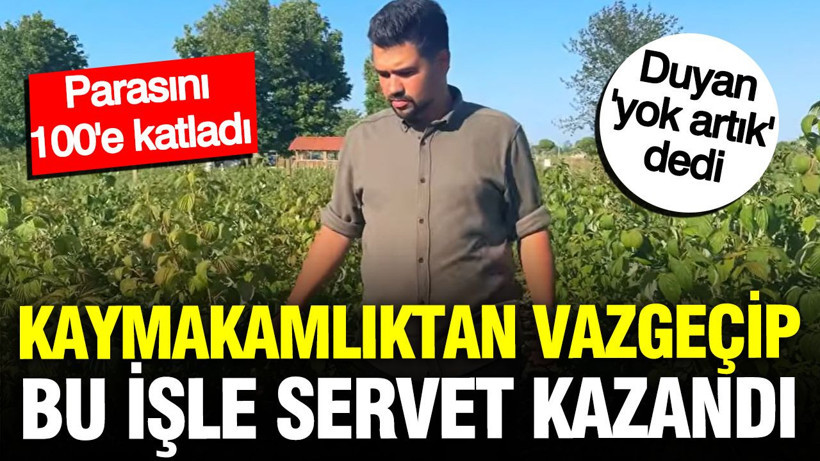 Kaymakamlıktan vazgeçti, hasat etti: Parasını 100’e katladı - Resim: 1