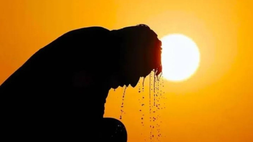 Aşırı sıcaklarda en büyük tehlike sessizce başlıyor: Uzman isim tek tek anlattı - Resim: 2