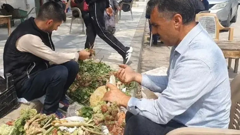 Bilim insanları dünyanın en sağlıklı bitkisi ilan etti: Tezgahlarda yüzüne bakmıyoruz - Resim: 2