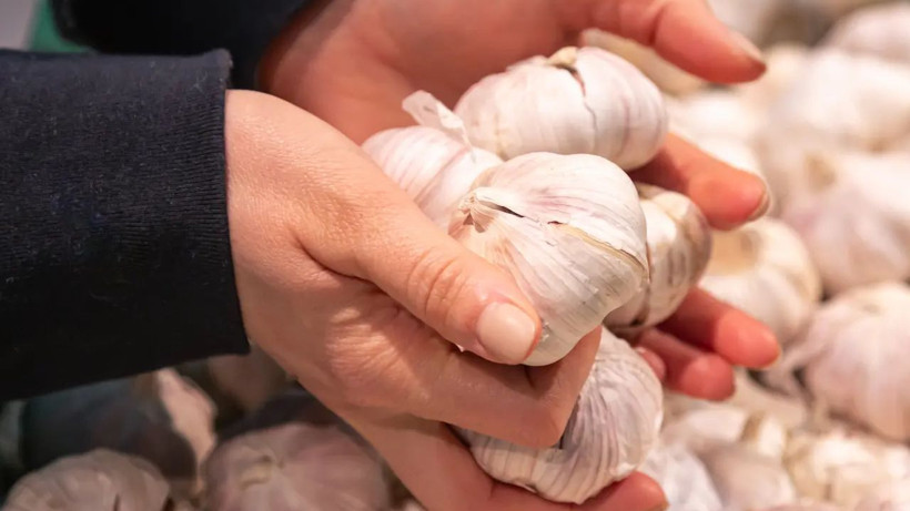 Tarladan çıkmadan tükendi: Kilosu 60 liradan satılıyor - Resim: 6