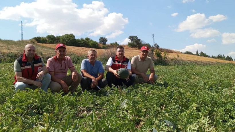 Üreticiyi havalara uçuracak hasat başladı: Türkiye’nin dört bir yanına gidecek - Resim: 6