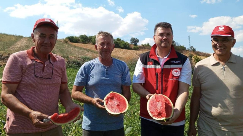 Üreticiyi havalara uçuracak hasat başladı: Türkiye’nin dört bir yanına gidecek - Resim: 3