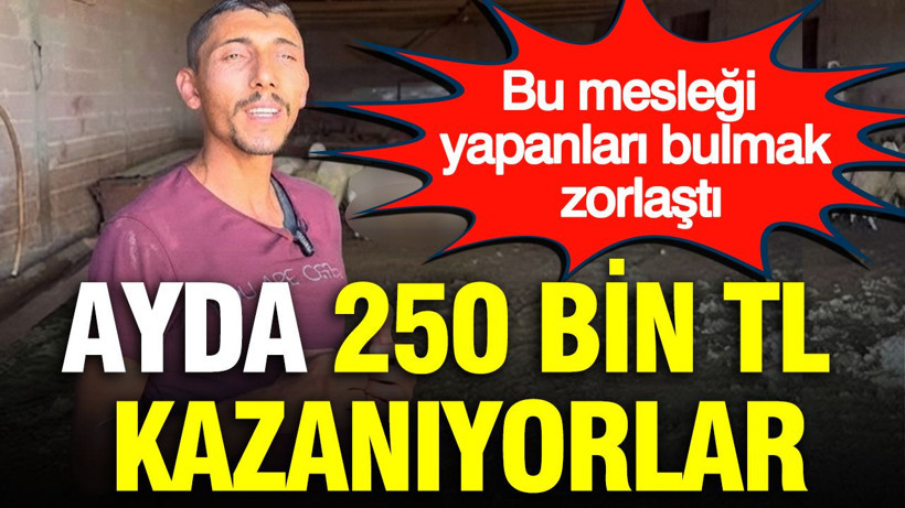 Ayda 250 bin TL kazanıyorlar: Bu mesleği yapanları bulmak zorlaştı - Resim: 1