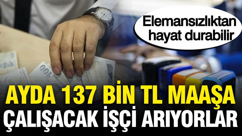 137 bin TL maaşa çalışacak işçi arıyorlar: Elemansızlıktan hayat durabilir - Resim: 1
