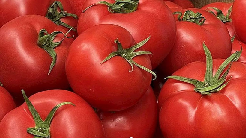 Dev hasat başladı: Kilosu 50 TL'den satılıyor - Resim: 2