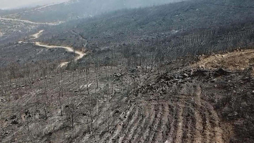 Uzmandan Türkiye için korkutan El Nino uyarısı: Son 150 yılın en güçlü doğa olayı - Resim: 2