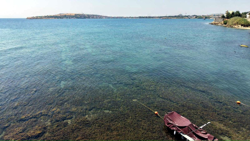 Marmara’da dengeler bozuldu: Kıyıları sarıyor: Temas halinde uzmandan önemli uyarı - Resim: 4