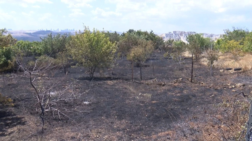 Arnavutköy’de hobi bahçeleri alev alev yandı - Resim: 12