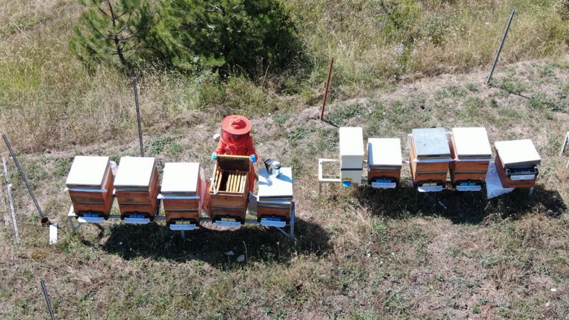 Hobi olarak başladı, şimdi kilosunu 6 bin liradan satıyor: Talebe yetişmeye çalışıyor - Resim: 6
