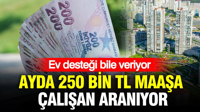 Ayda 250 bin TL maaşa çalışan aranıyor: Ev desteği bile veriyor - Resim: 1